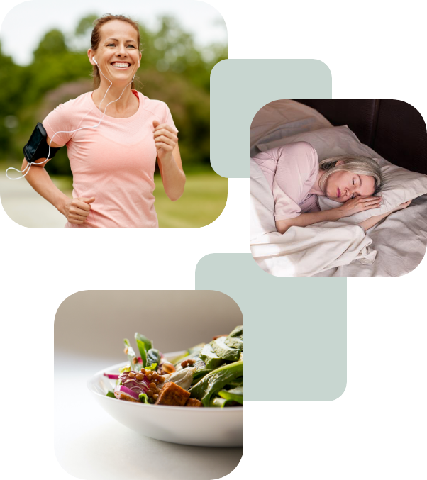 Collage circadian rhythm